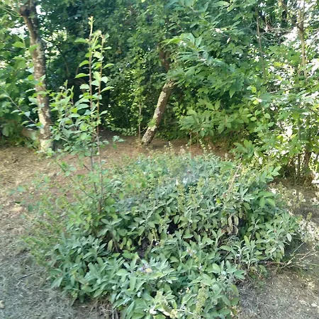 別荘 Family House With Garden